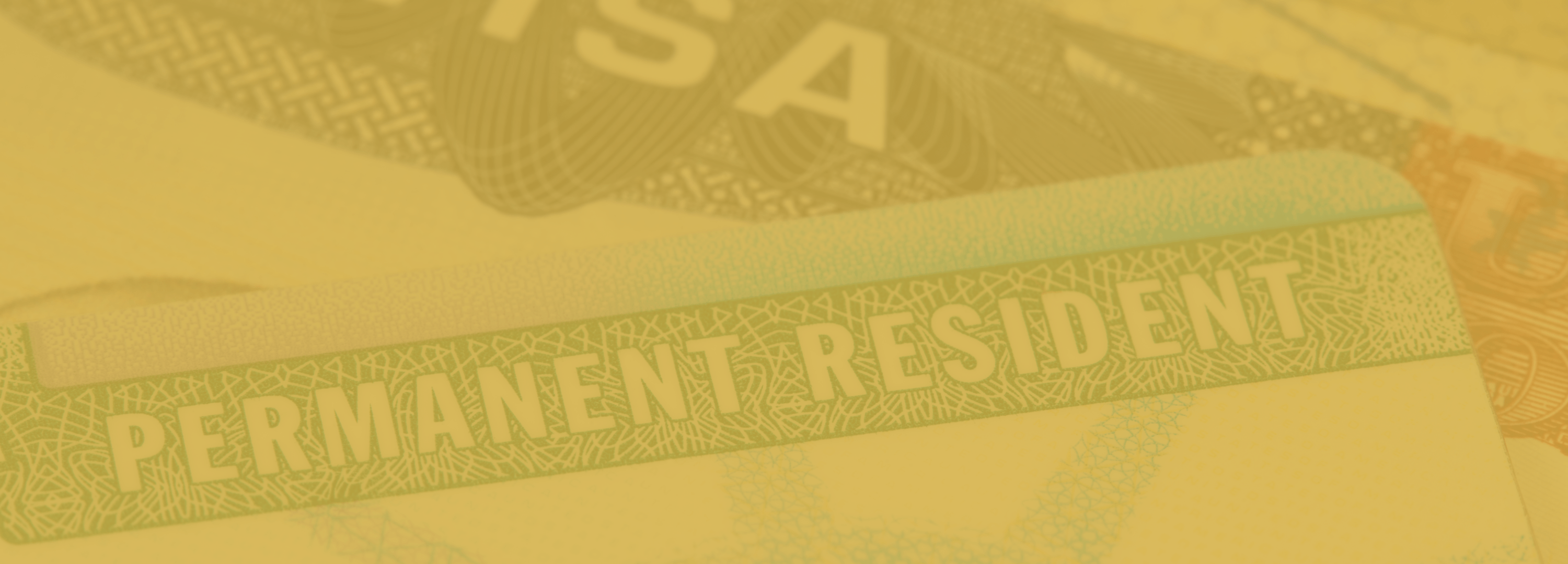 Navigating the Green Card Process: A Step-by-Step Guide