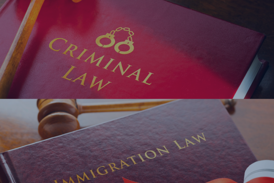 criminal and Immigration lawyer